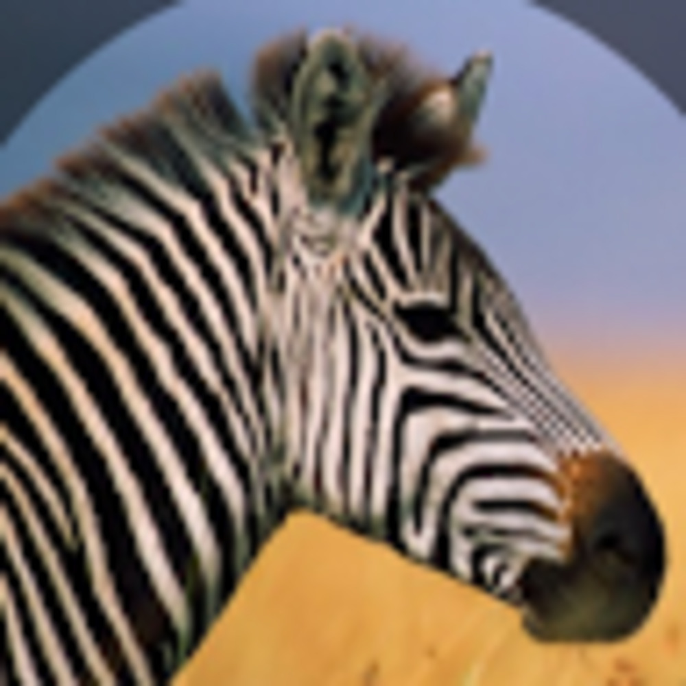 Meet your Posher, Liz